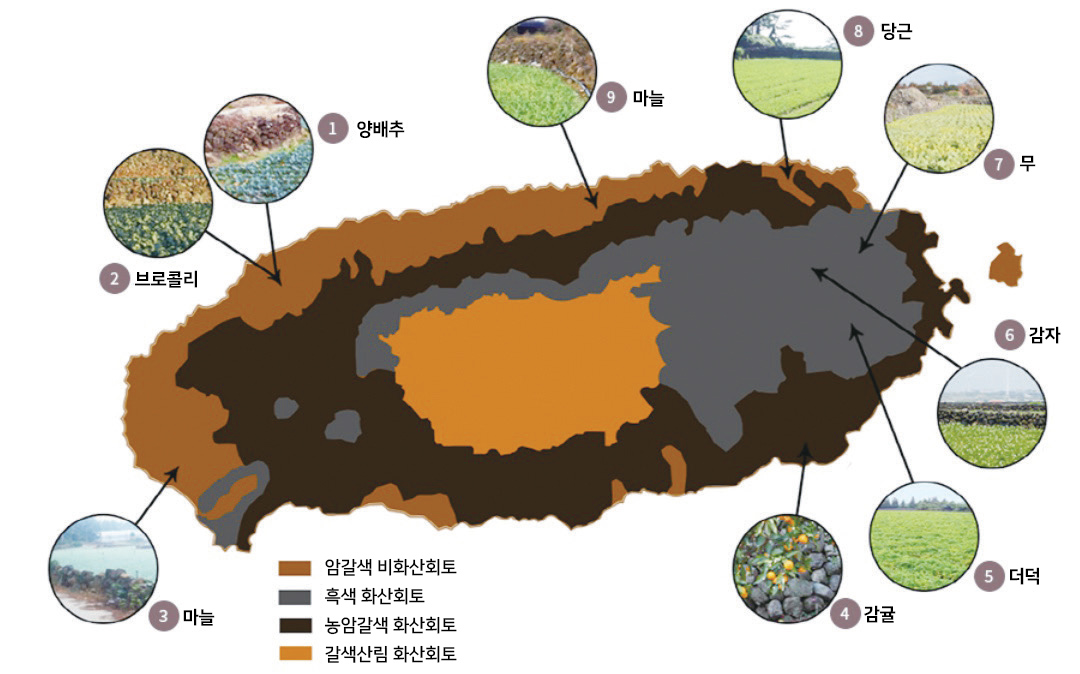 토양 특성 및 주요 재배 작물