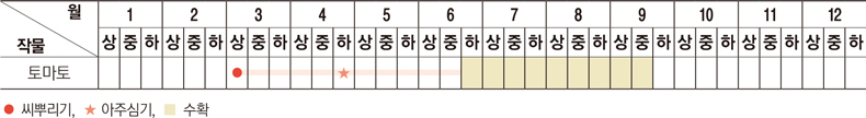 씨뿌리기는 3월 상반기에 하고, 아주심기는 4월 하반기에 하며, 수확은 6월 하반기~9월 중반기까지 가능하다.