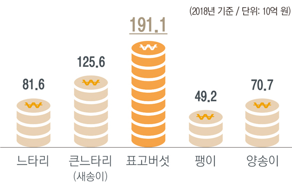 2018년 기준으로 느타리버섯은 816억원, 큰느타리(새송이)버섯은 1,256억원, 표고버섯은 1,911억원, 팽이버섯은 492억원, 양송이버섯은 707억원