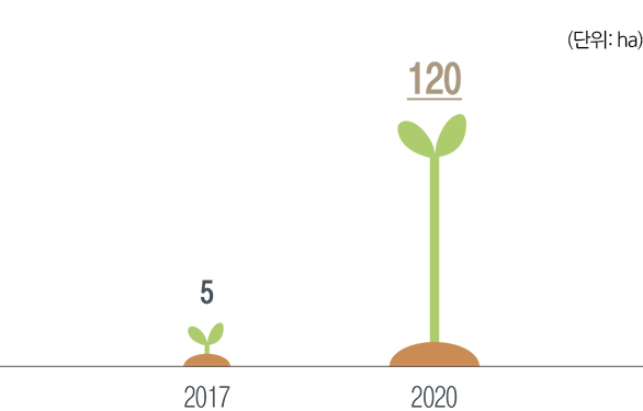 2017년에는 5ha, 2020년에는 120ha