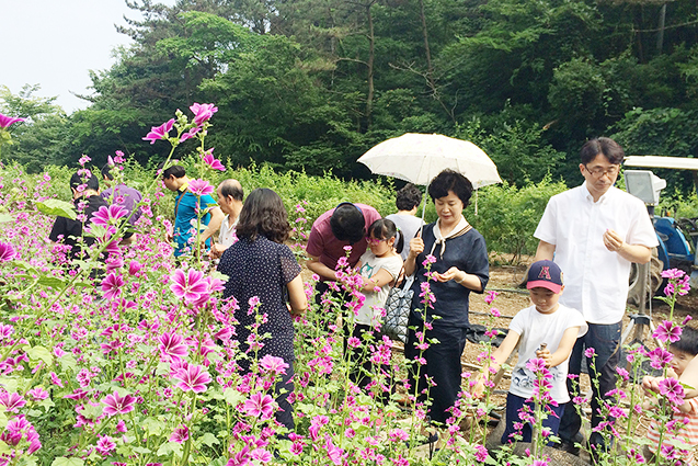 경남 하늘바라기 농장