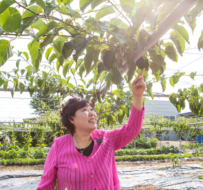 경북 영주 쥬네뜨 와인 김향순 대표