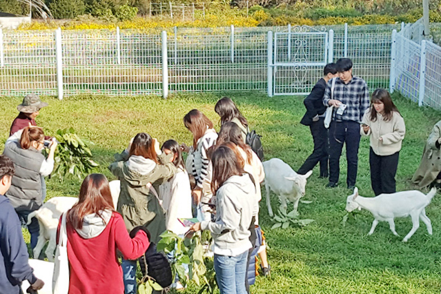 청양 알프스 목장