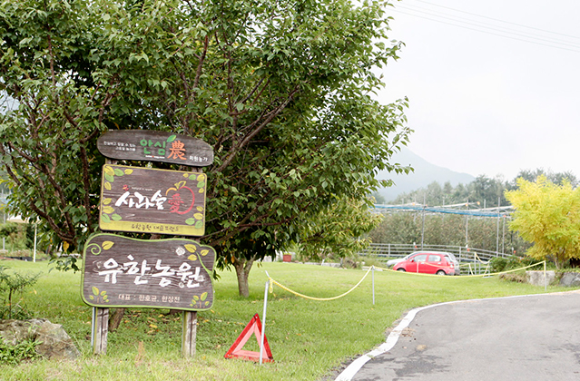 사과숲애