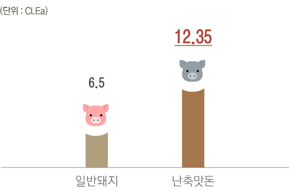 일반돼지 : 6.5 CLEa / 난축맛돈 : 12.35 CLEa