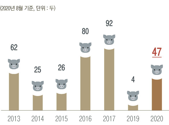 2013년 : 62 두 / 2014년 : 25 두 / 2015년 : 26 두 / 2016년 : 80 두 / 2017년 : 92 두 / 2019년 : 4 두 / 2020년 : 47 두