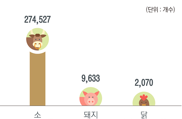 소 : 274,527개 / 돼지 : 9,633개 / 닭 : 2,070개