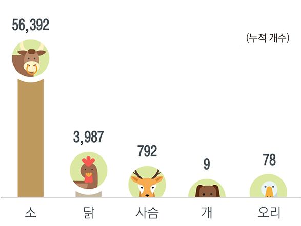 소 : 56,392개 / 닭 : 3,987개 / 사슴 : 792개 / 개 : 9개 / 오리 : 78개
