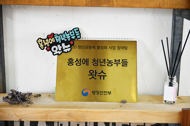 홍담