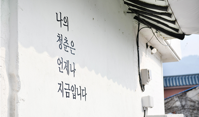 홍담