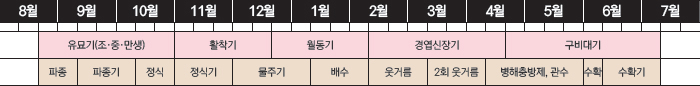 양파가 발아하는 적정한 온도는 15~25℃이며 생육에 적절한 온도는 17℃ 전후다. 25℃ 이상의 고온에서는 생육 정지 및 휴면하는 특징을 보인다. 양파 종자는 광이 없는 어두운 조건에서 발아가 잘 되고, 양파 구비대에는 일정한 시간 이상의 일장이 있어야 하며 조생종은 11.5~13시간, 중만생종은 13~14.3시간이 필요하다. 