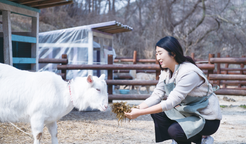 송미나 대표