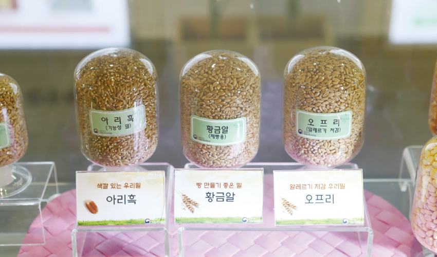 기능성 밀