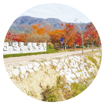 내장산 단풍생태공원
