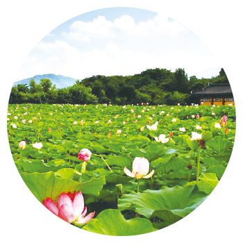 상림공원&산삼주제관