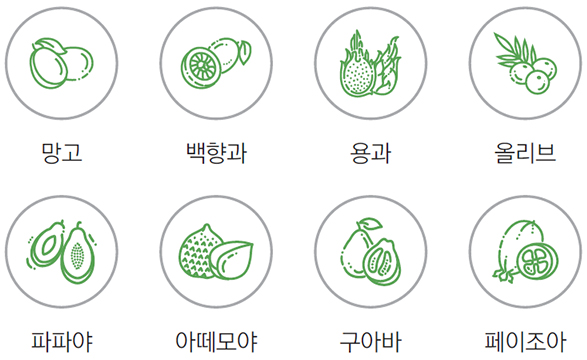 국가 주도 집중육성작목 18개 / 지자체 주도 집중육성작목 51개