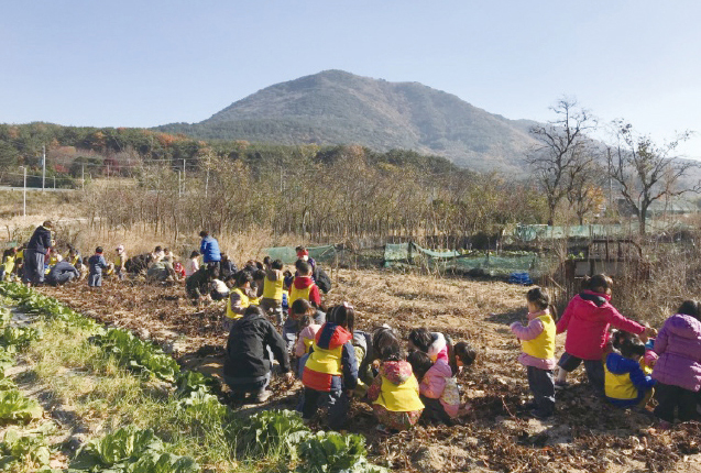 텃밭에서 농작물 수확체험 중인 아이들<