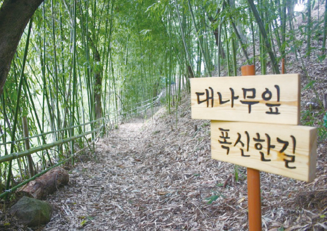 이야기숲속길