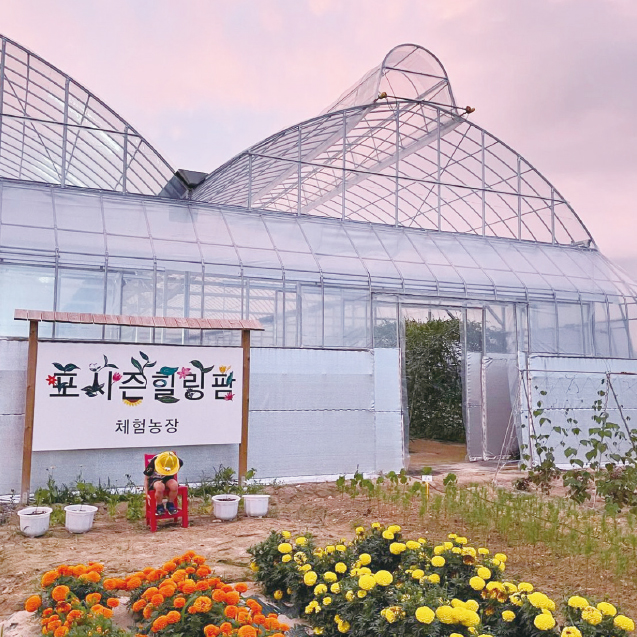 포시즌힐링팜 전경
