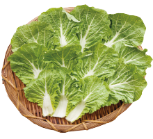 봄동