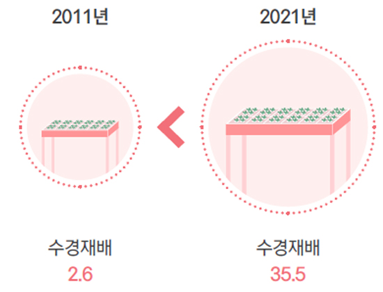 2011년 수경재배 2.6 2021년 수경재배 35.5