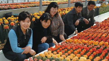 2004. 선인장 품평회 탑동 원예연구소
