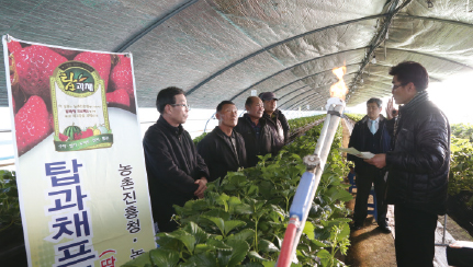 2013. 탑과채 프로젝트 시범사업