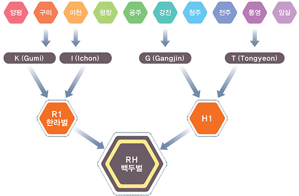 양평 구미 이천 평창 공주 강진 청주 전주 통영 임실 K(Gumi) I(Incheon) G(Gangjin) T(Tongyeong) R1한라벌 H1 RH백두벌