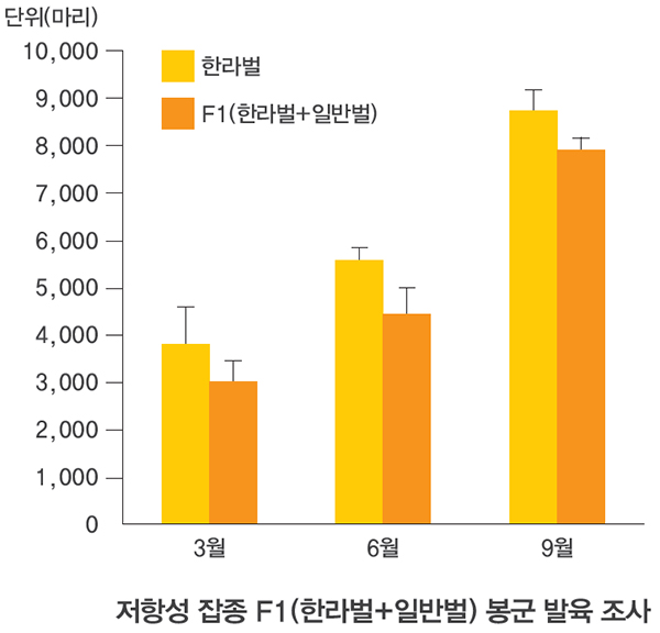 단위(마리) 10,000 9,000 8,000 7,000 6,000 5,000 4,000 3,000 2,000 1,000 0 한라벌 F1(한라벌+일반벌) 3월 6월 9월 저항성 잡종 F1(한라벌+일반벌) 봉군 발육 조사