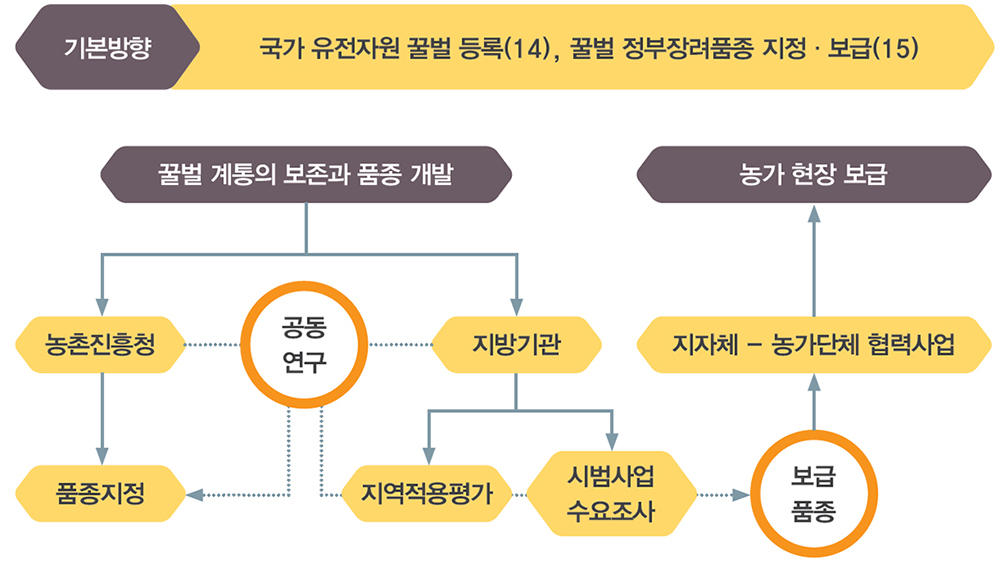 기본방향 국가 유전자원 꿀벌 등록(14), 꿀벌 정부장려품종 지정·보급(15) 꿀벌 계통의 보존과 품종 개발 농촌진흥청 공동연구 지방기관 품종지정 지역적용평가 시범사업수요조사 보급품종 지자체 - 농가단체 렵력 사업 농가 현장 보급
