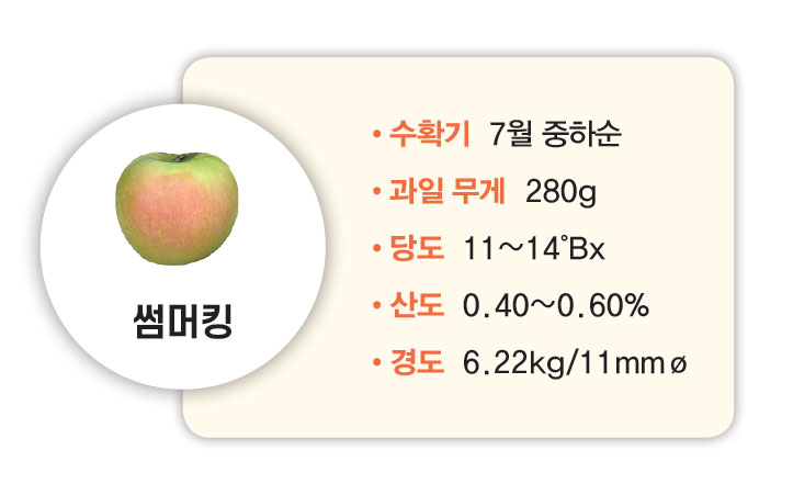 썸머킹 수확기 7월 중하순 과일무게 280g 당도 11~14°Bx 산도 0.40~0.60% 경도 6.22kg/11mmø