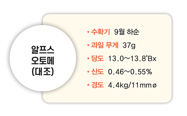 알프스 오토메(대조) 수확기 9월 하순 과일 무게 37g 당도 13.0~13.8°Bx 산도 0.46~0.55% 경도 4.4kg/11mmø