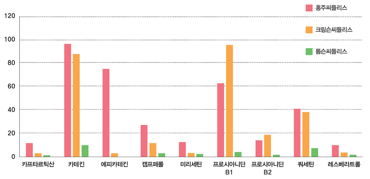 홍주씨들리스 크림슨씨들리스 톰슨씨들리스 카프타르틱산 10 3 2 카테킨 98 88 10 에피카테킨 77 3 0 캠프페롤 25 10 3 미리세틴 10 3 2 프로시아니딘 B1 60 98 4 프로시아니딘 B2 17 19 1 쿼세틴 40 39 7 레스베라트롤 10 3 1