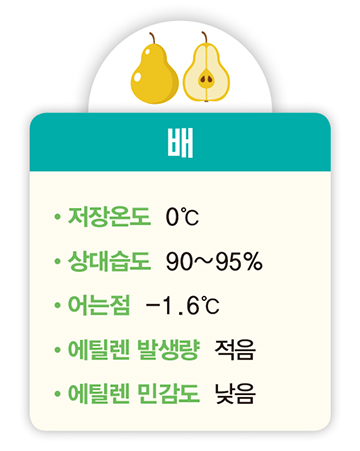 배 저장온도 0℃ 상대습도 90~95% 어는점 -1.6℃ 에틸렌 발생량 적음 에틸렌 민감도 낮음