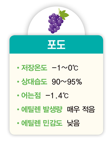 포도 저장온도 -1~0℃ 상대습도 90~95% 어는점 -1.4℃ 에틸렌 발생량 매우 적음 에틸렌 민감도 낮음