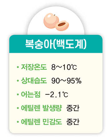 복숭아(백도계) 저장온도 8~10℃ 상대습도 90~95% 어는점 -2.1℃ 에틸렌 발생량 중간 에틸렌 민감도 중간