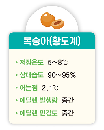 복숭아(황도계) 저장온도 5~8℃ 상대습도 90~95% 어는점 2.1℃ 에틸렌 발생량 중간 에틸렌 민감도 중간