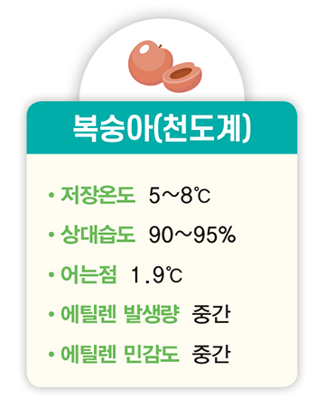 복숭아(천도계) 저장온도 5~8℃ 상대습도 90~95% 어는점 1.9℃ 에틸렌 발생량 중간 에틸렌 민감도 중간