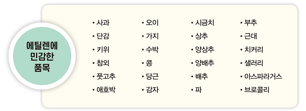 에틸렌에 민감한 품목 사과 오이 시금치 부추 단감 가지 상추 근대 키위 수박 양상추 치커리 참외 콩 양배추 샐러리 풋고추 당근 배추 아스파라거스 애호박 감자 파 브로콜리