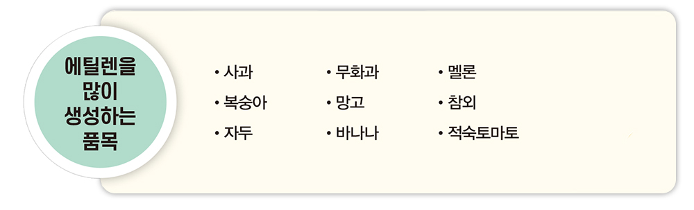 에틸렌을 많이 생성하는 품목 사과 무화과 멜론 복숭아 망고 참외 자두 바나나 적숙토마토