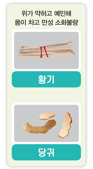 위가 약하고 예민해 몸이 차고 만성 소화불량 황기, 당귀