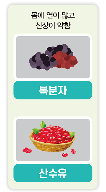 몸에 열이 많고 신장이 약함 복분자, 산수유