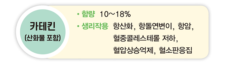 카테킨(산화물 포함) 함량 10~18% 생리작용 항산화, 항돌연변이, 항암, 혈중콜레스테롤 저하, 혈압상승억제, 혈소판응집