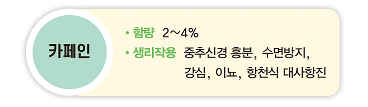 카페인 함량 2~4% 생리작용 중추신경 흥분, 수면방지, 강심, 이뇨, 항천식 대사항진