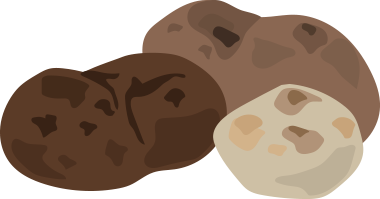 토란