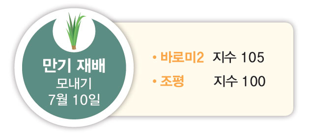 만기 재배 모내기 7월 10일 바로미2 지수 105 조평 지수 100