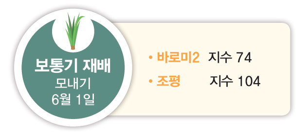 보통기 재배 모내기 6월 1일 바로미2 지수 74 조평 지수 104