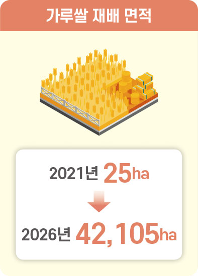 가루쌀 재배 면적 2021년 25ha 2026sus 42,105ha