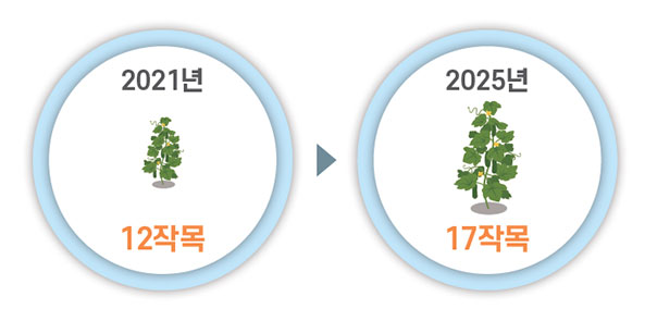 2021년 12작목 2025년 17작목