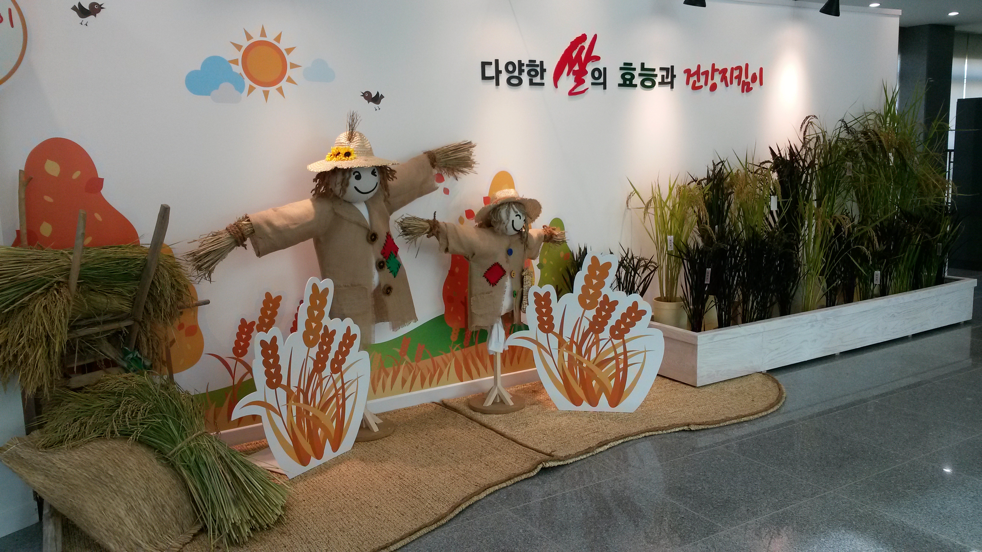 쌀의 다양한 효능과 건강 지킴이 특별전시회 개최1
